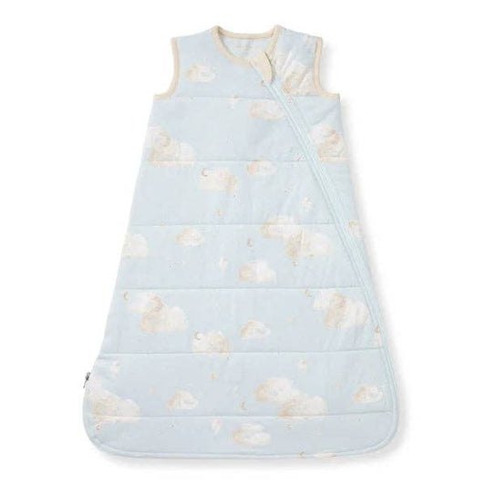 Ice Flow Good Night Sky Organic Warmer Beekeeper™ Wearable Baby Sack