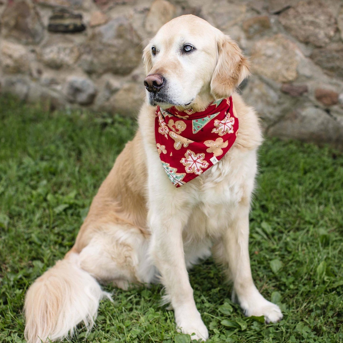 Gingerbread Bake Pajamas