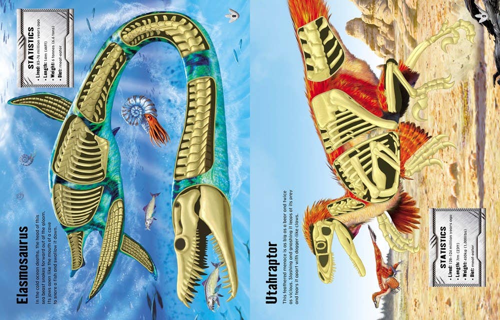 Build Your Own Dinosaurs Sticker Book : Usborne