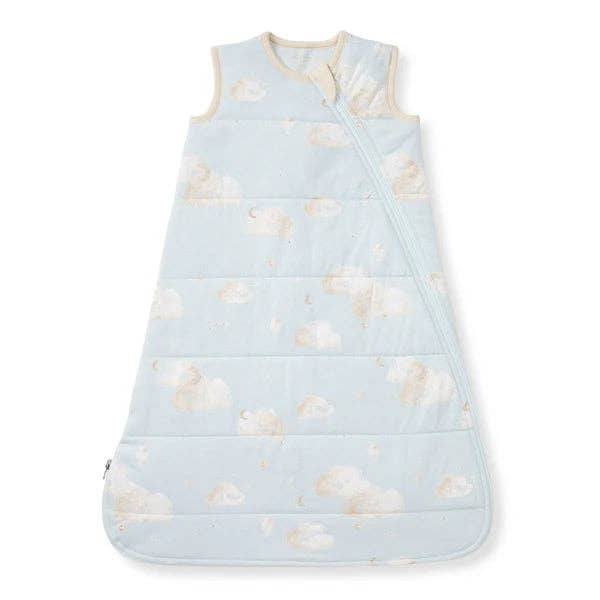 Ice Flow Good Night Sky Organic Warmer Beekeeper™ Wearable Baby Sack